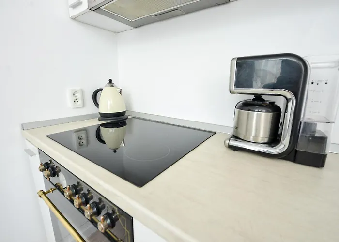 Apartament Unirii - Old Town